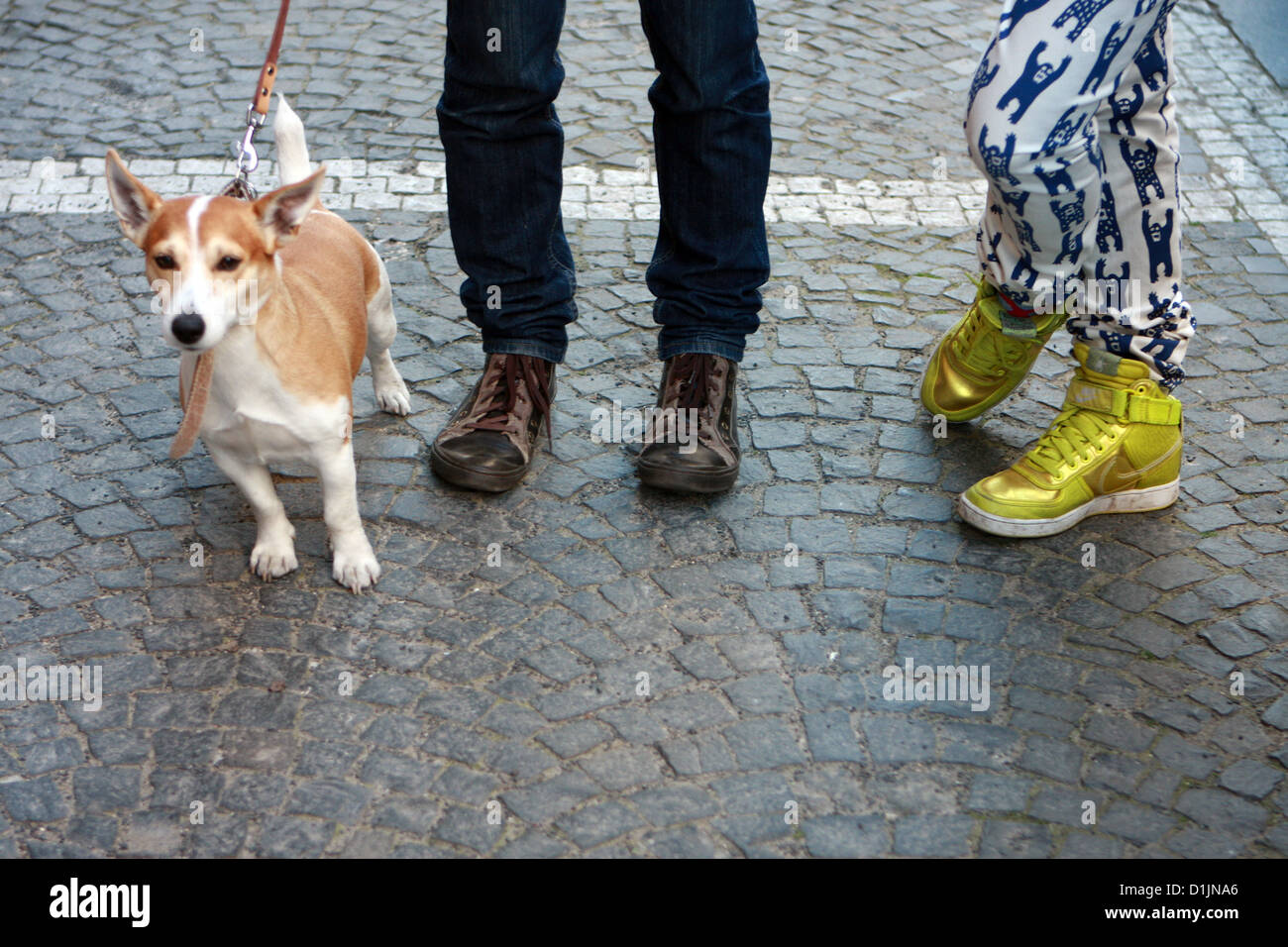 Two men dog and gold shoes, low section Stock Photo