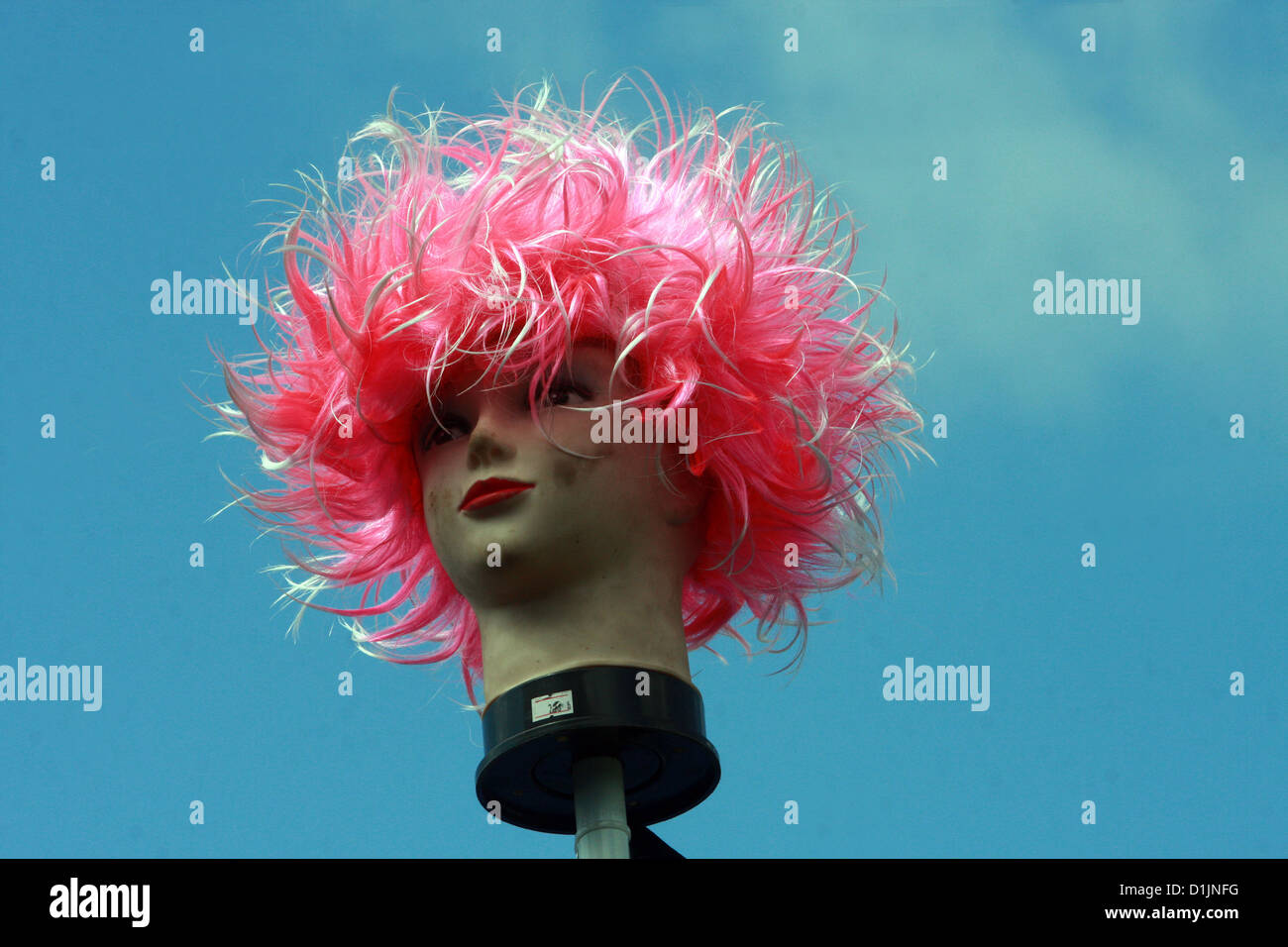 Pink top wig head