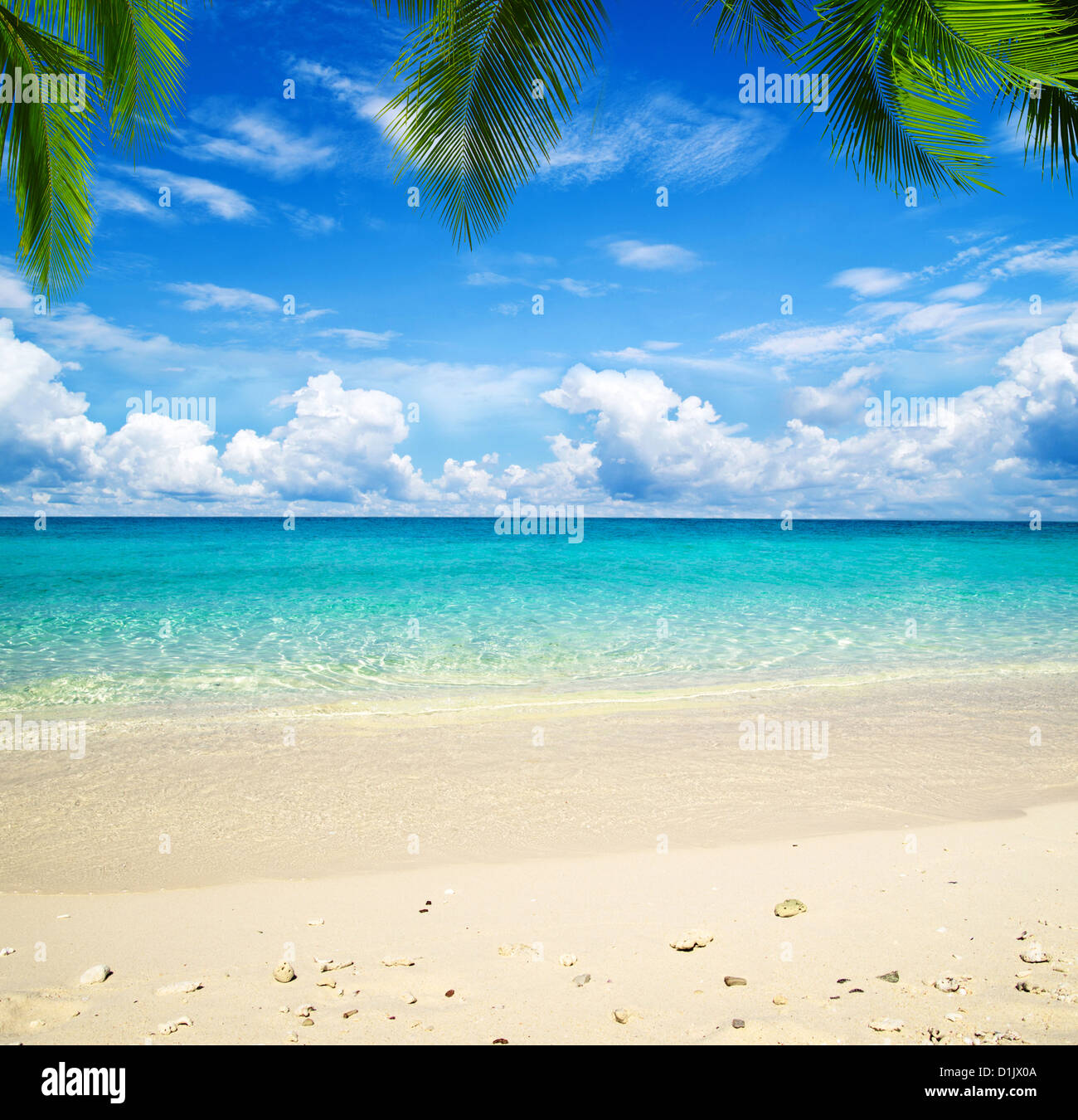 beautiful beach and tropical sea Stock Photo - Alamy