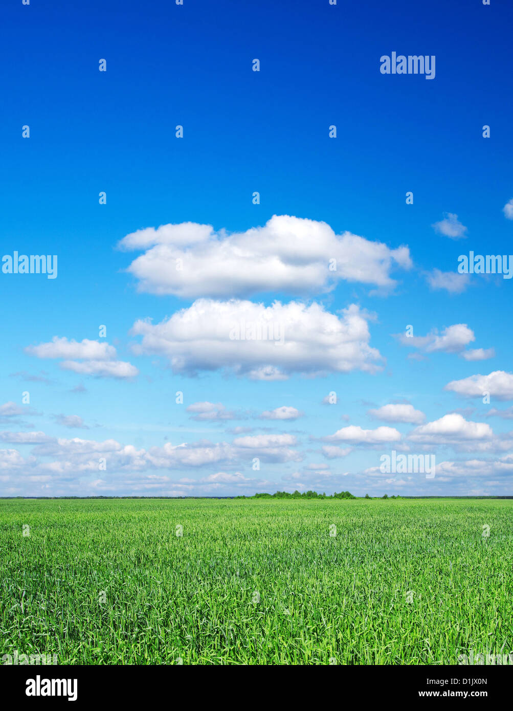 green field and blue sky Stock Photo - Alamy