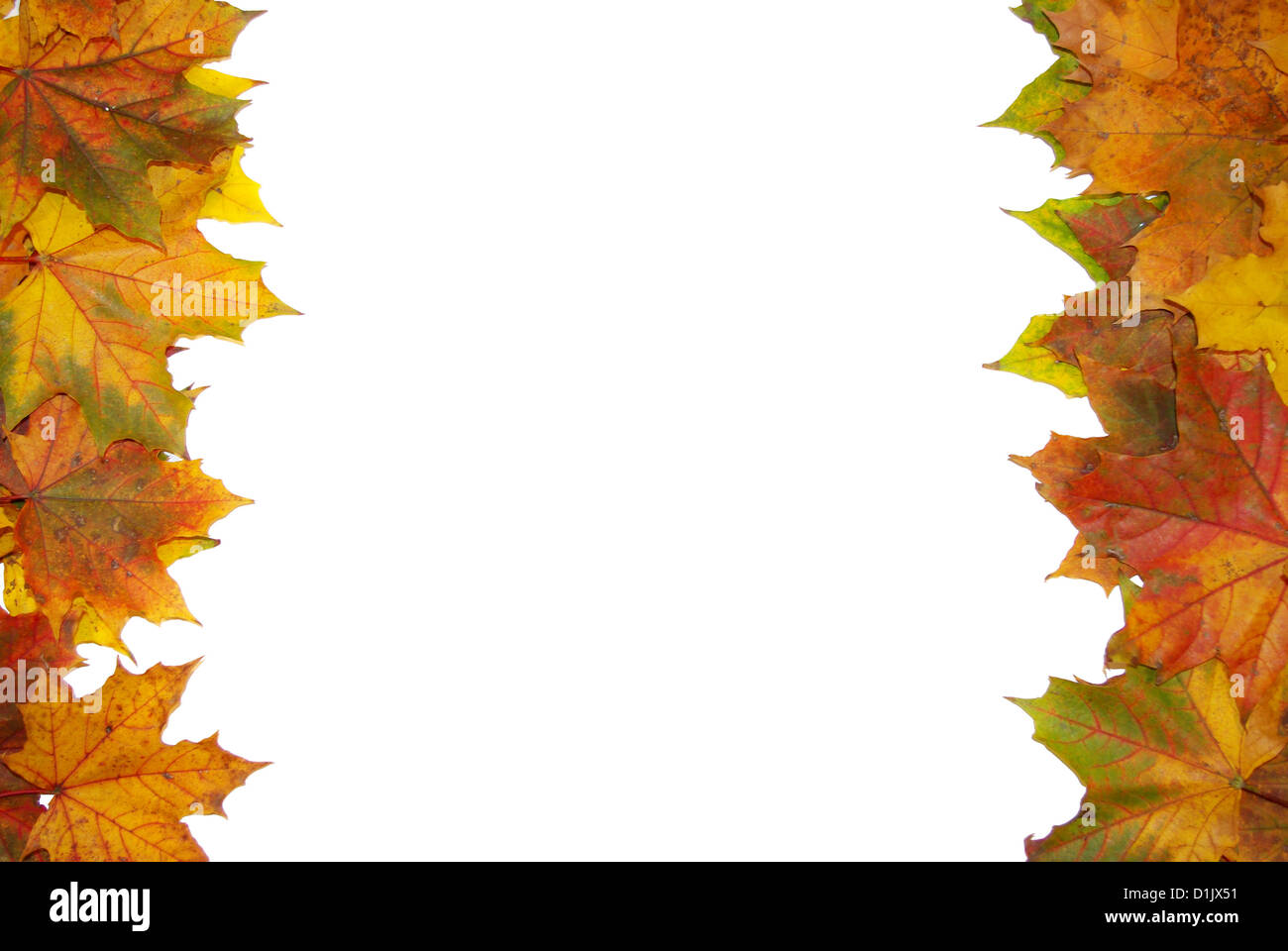 Frame with colored autumn maple leaves - white background Stock Photo ...