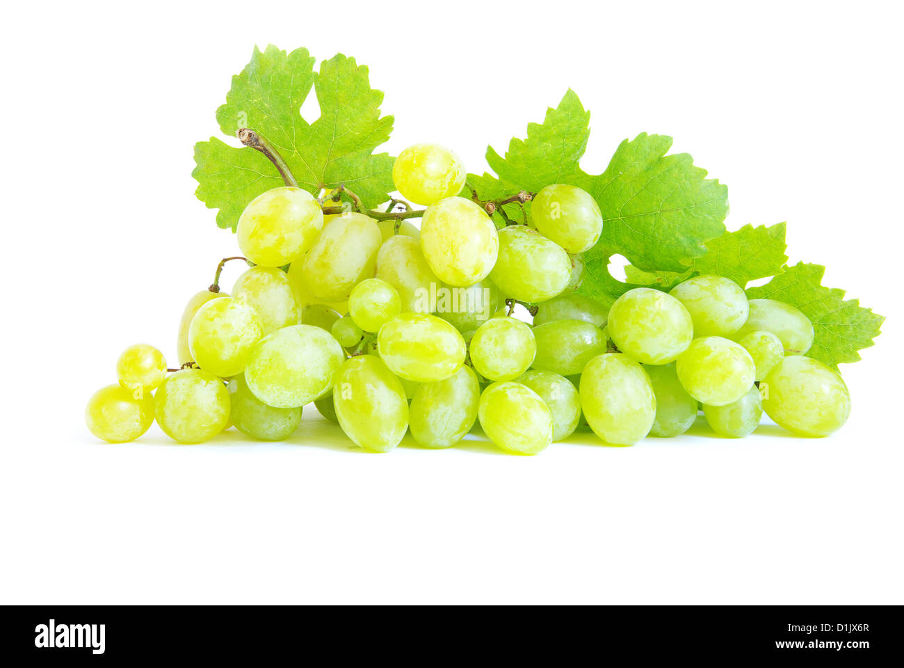 grape with green leaves isolated on white background Stock Photo - Alamy