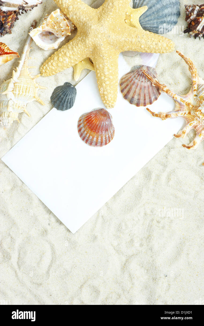 sea stars and shells an blank postcard on sands Stock Photo