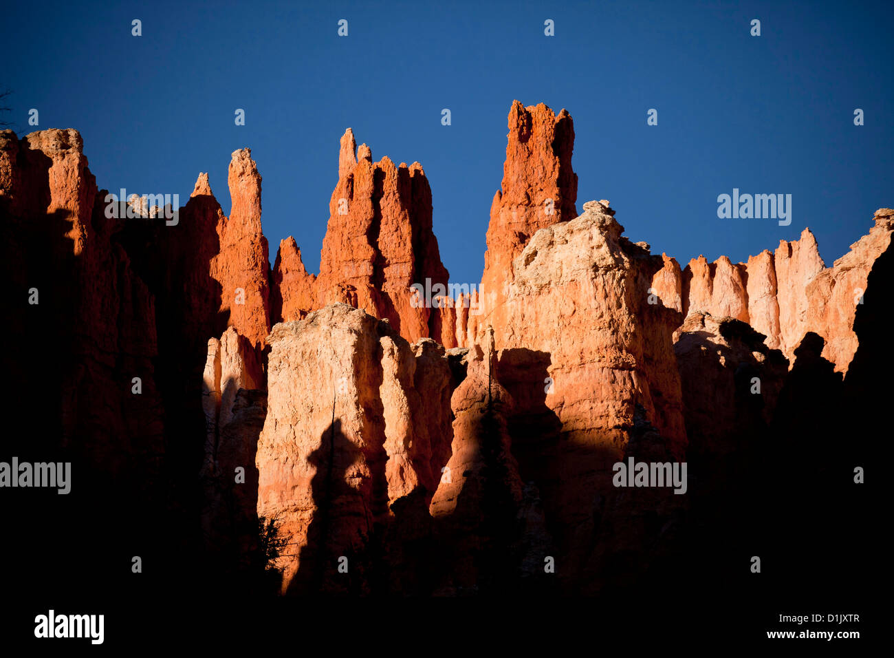 colourful rock formations of Bryce Canyon National Park, United States of America, USA Stock Photo