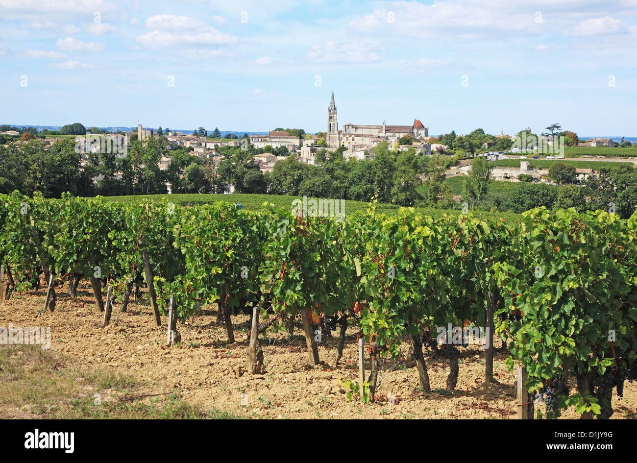 France, Gironde, Saint-Emilion, Bordeaux vineyards Stock Photo