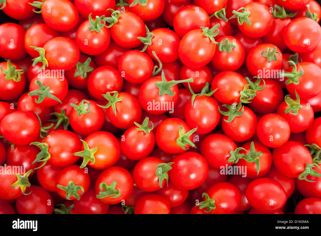 Group of fresh tomatoes Stock Photo - Alamy