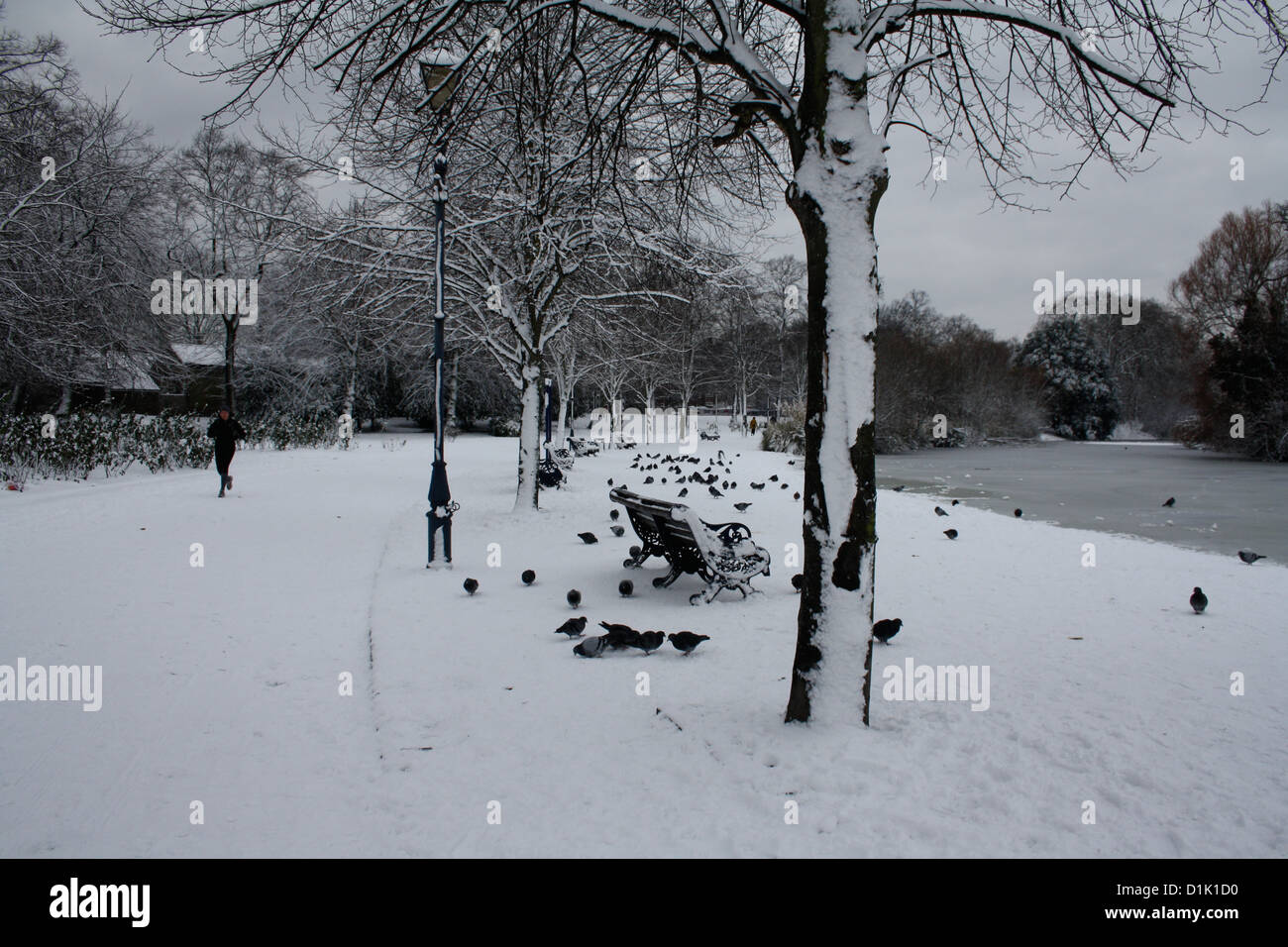 A runner in Victoria Park, east London during a snowy winter Stock Photo