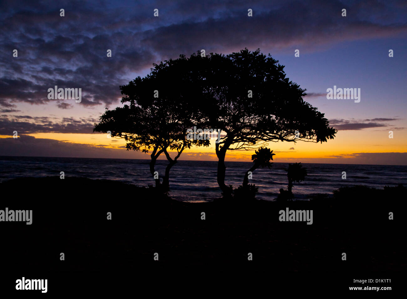 Silhouette big sister little brother hi-res stock photography and ...