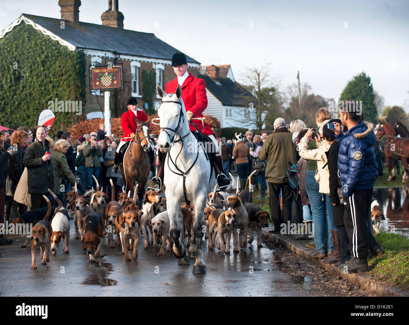 Fox Hunting - the Essex Hunt gather in Matching Green Village for their traditional Boxing Day meet. Stock Photo