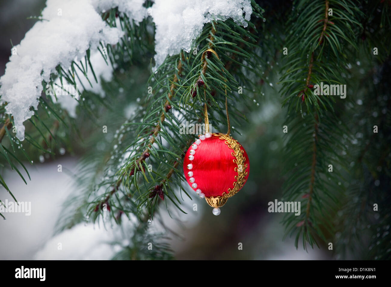 WA06223-00...WASHINGTON - Christmas ornament decorating a snow covered tree in the outdoors. Stock Photo
