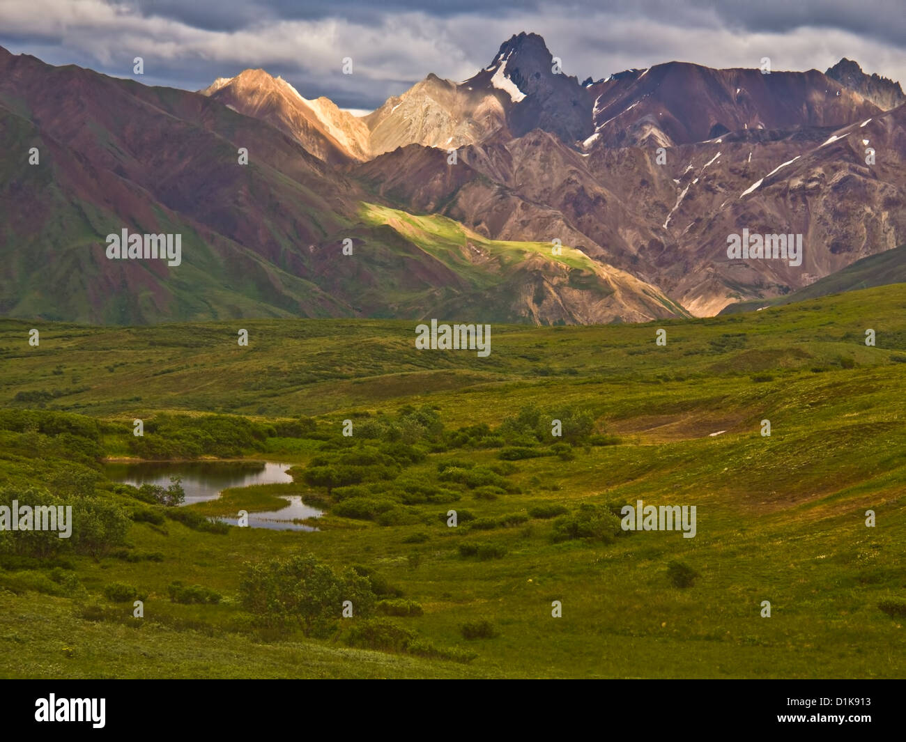 Colorful mountains with greenery, Denali Alaska Stock Photo