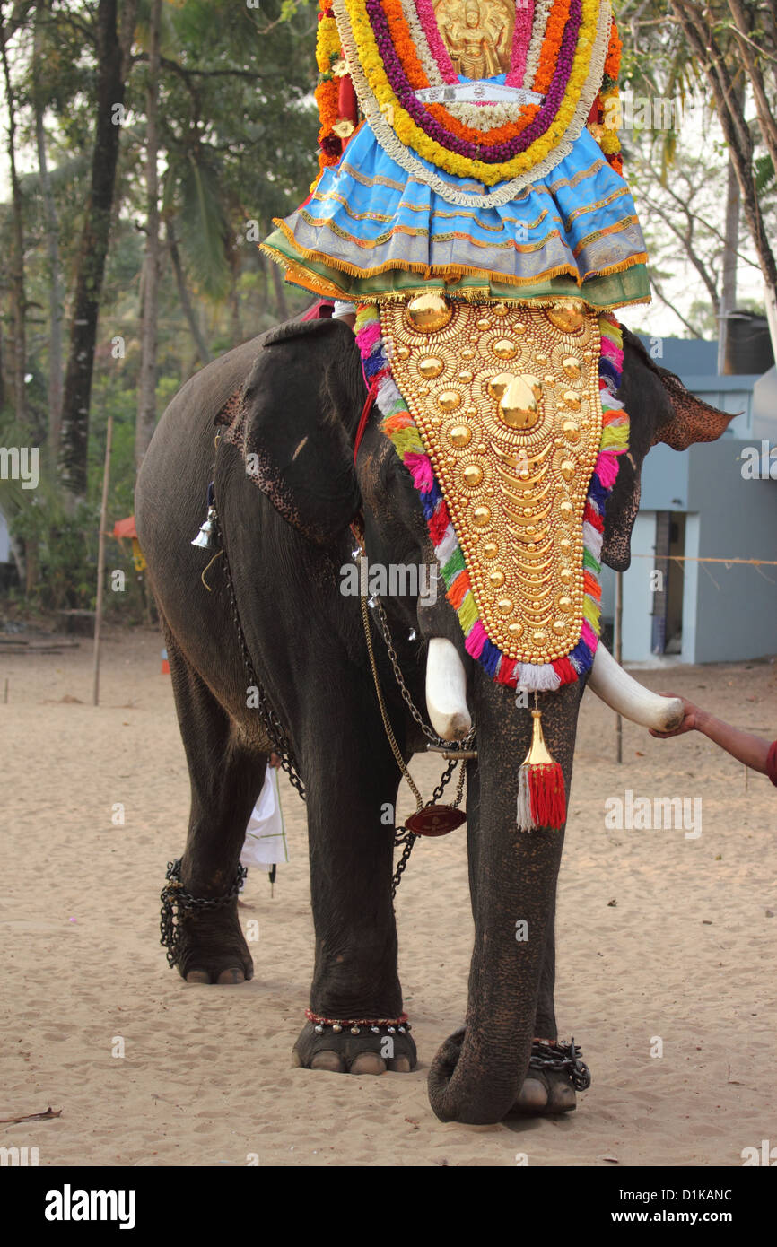 Celebration Decorated elephant Elephant Goddess Occasion Rhythm Statue Stock Photo