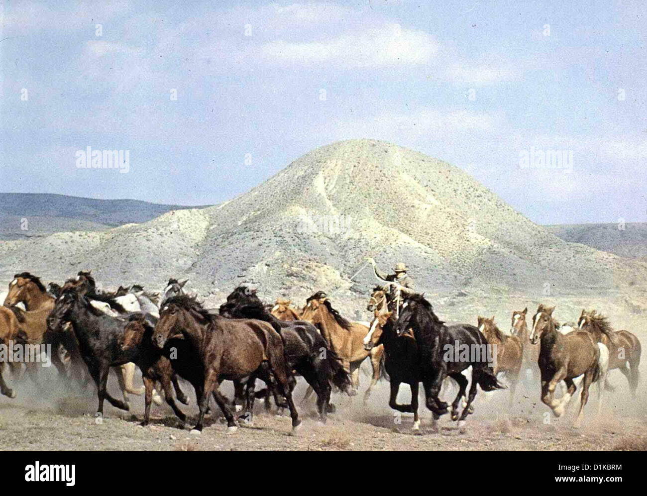 Wilde pferde chino charles bronson hi-res stock photography and images -  Alamy, image size:1300x997