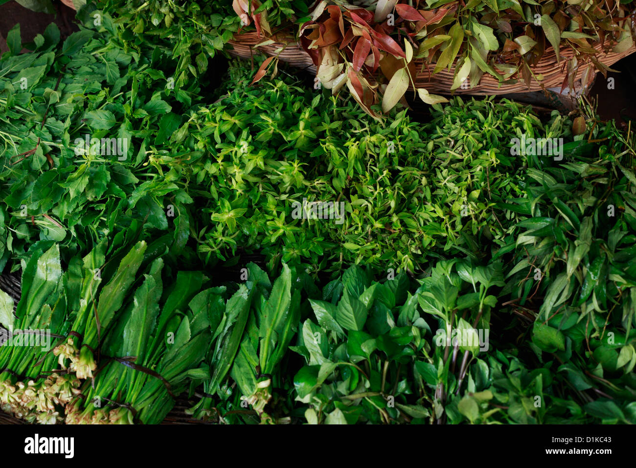 Different green vegetables for sale in market, Cambodia Stock Photo