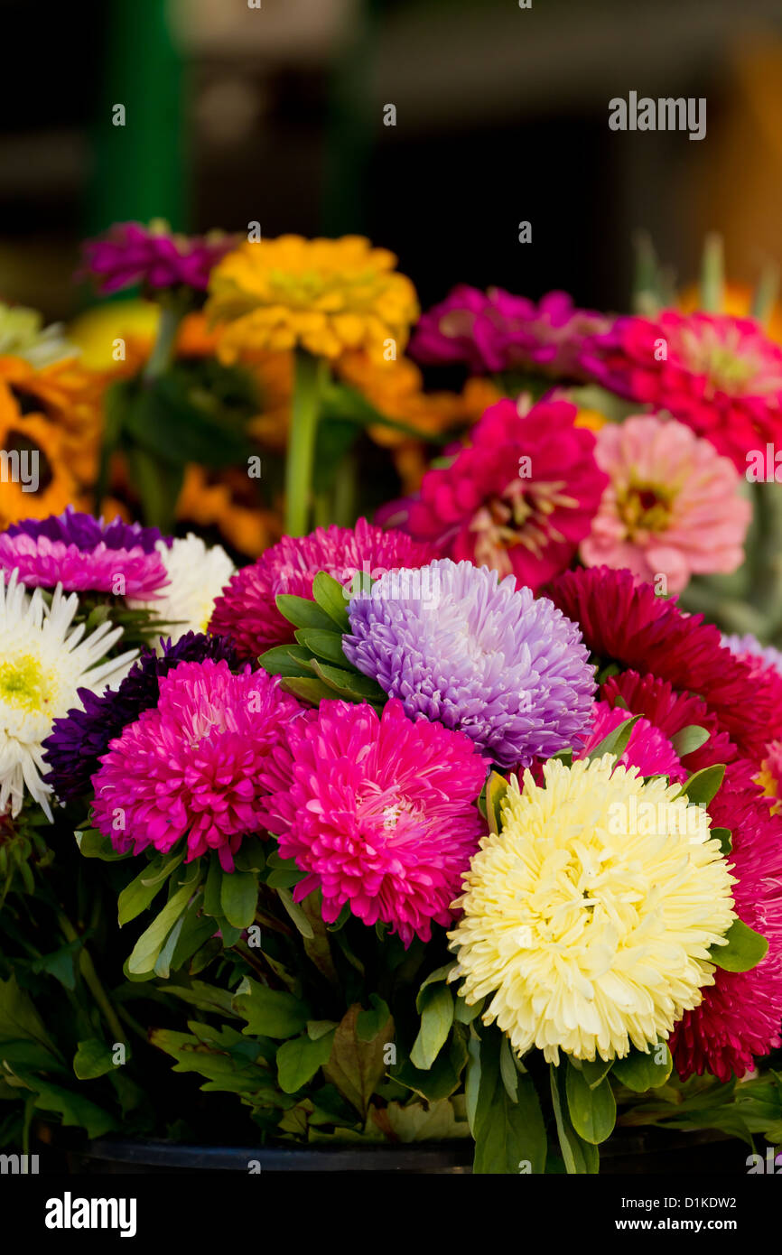 Flower Bouquet on a Market in Hamburg, Germany Stock Photo Alamy