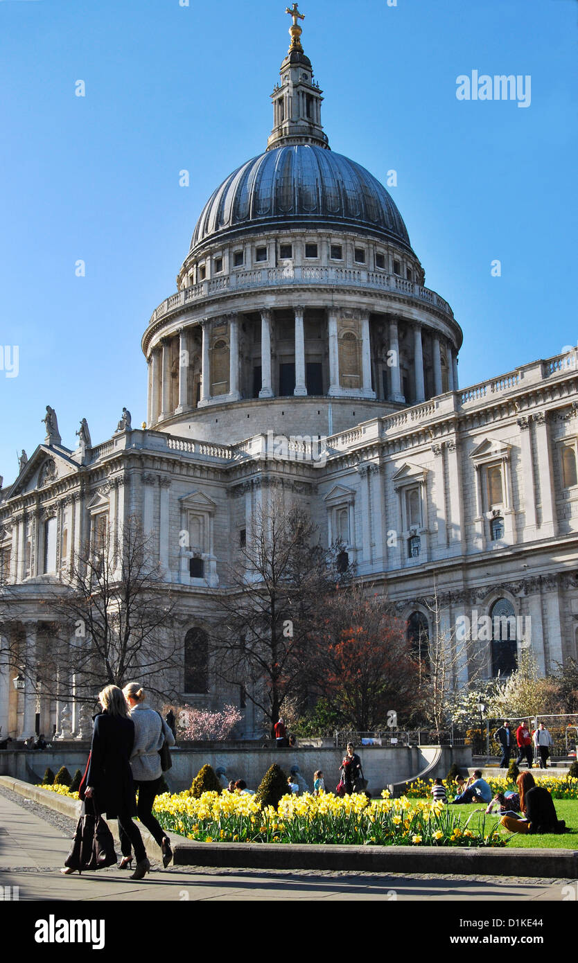 View of St. Paul's Cathedral in London, England, in the early Spring, with daffodils in the foreground. Stock Photo