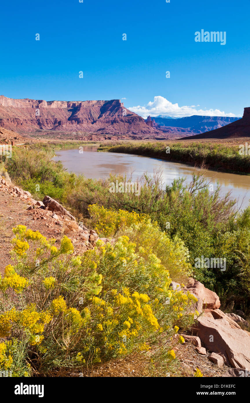 Colorado River and sagebrush in the foreground, near Moab, Utah, United States of America, North America Stock Photo