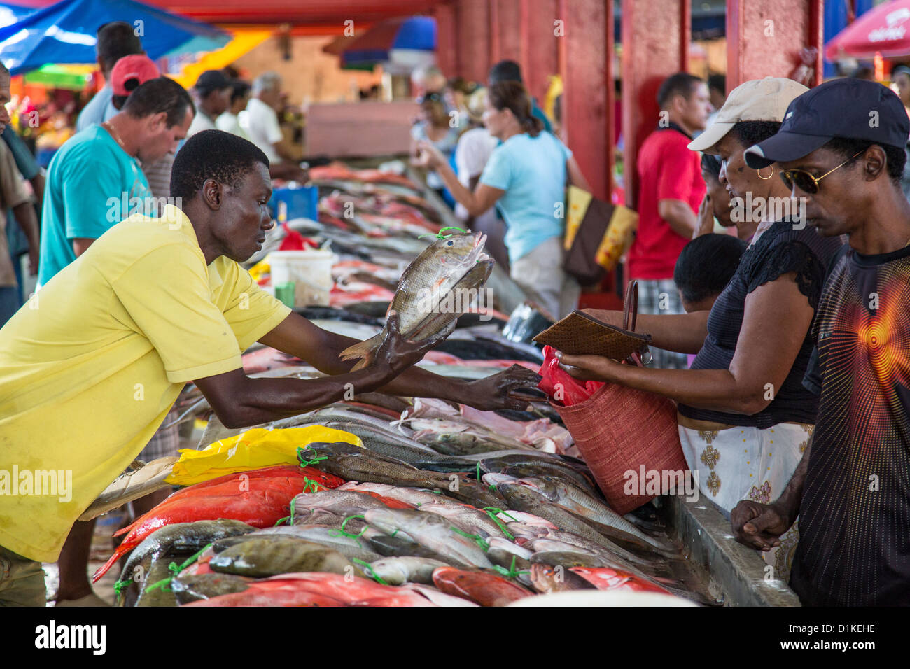 Seychelles Fish Market High Resolution Stock Photography and Images Alamy