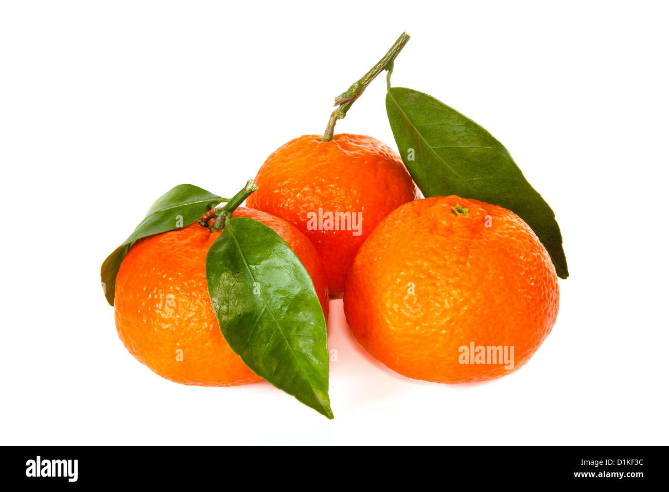 Three tangerines with stem and leaf against a white background Stock