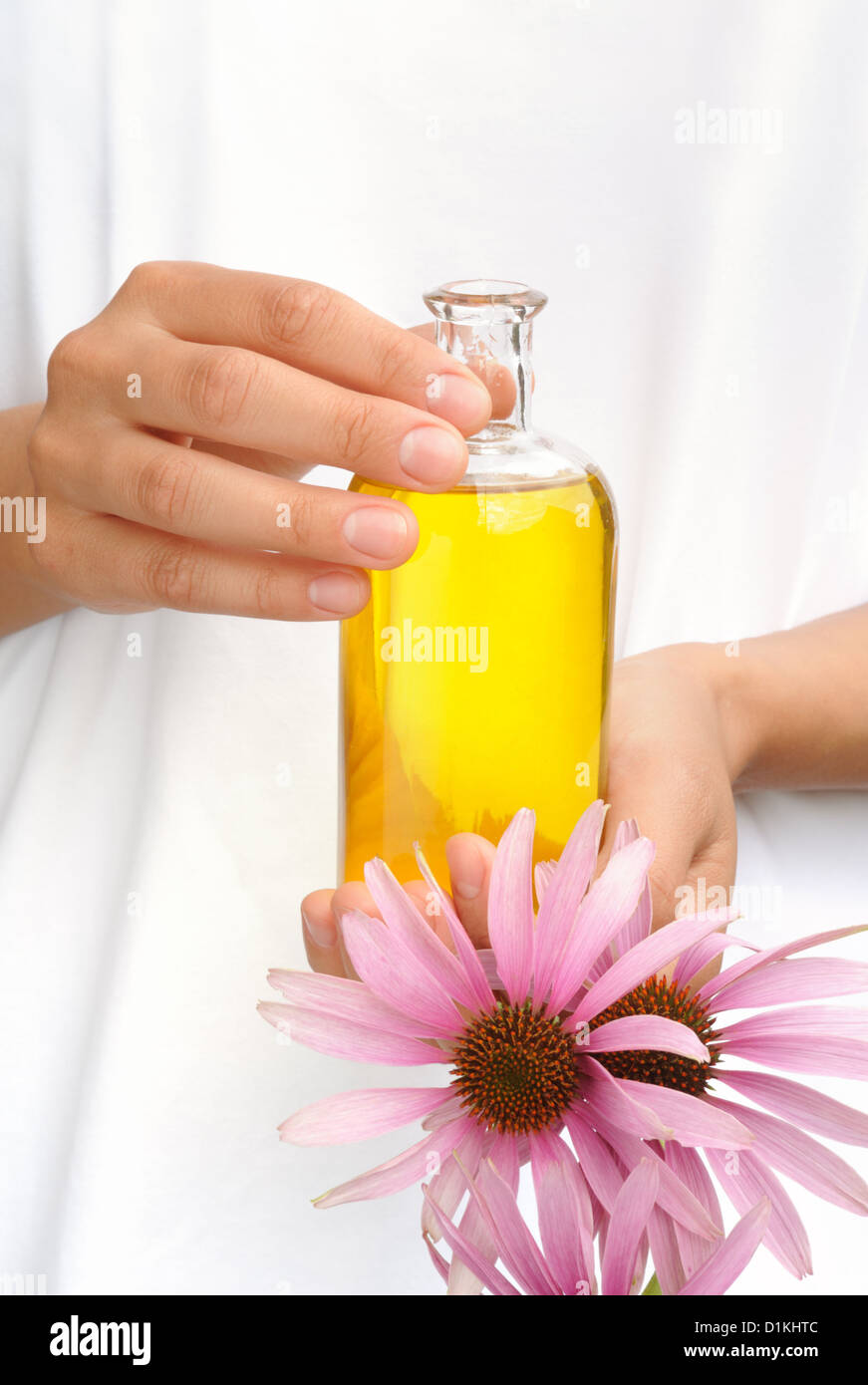 Hands of woman holding essential oil and fresh Cone flowers Stock Photo