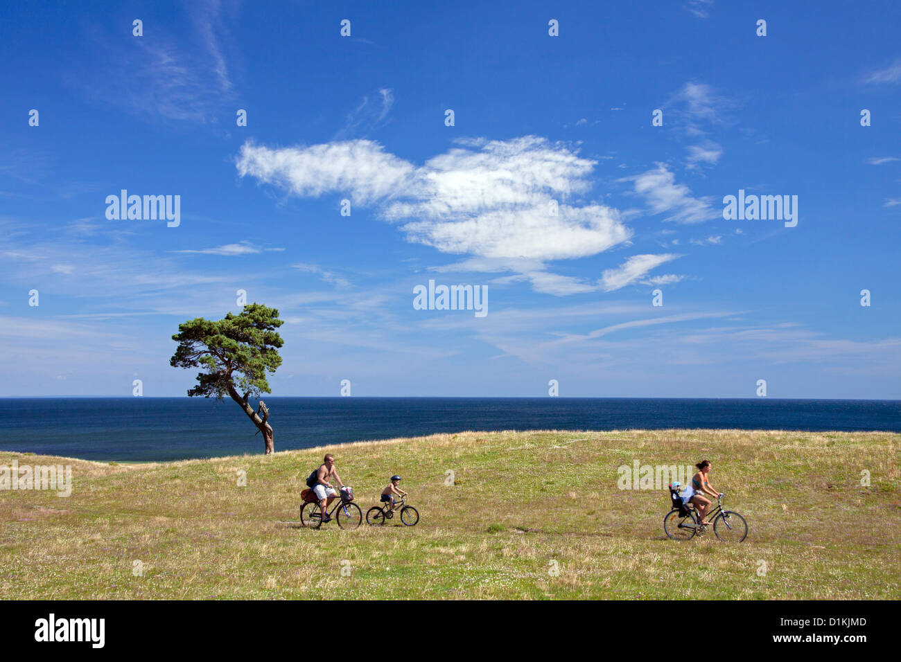 Family cycling on bicycles during the summer holidays past lonely tree near the sea at Haväng, Skåne, Sweden, Scandinavia Stock Photo