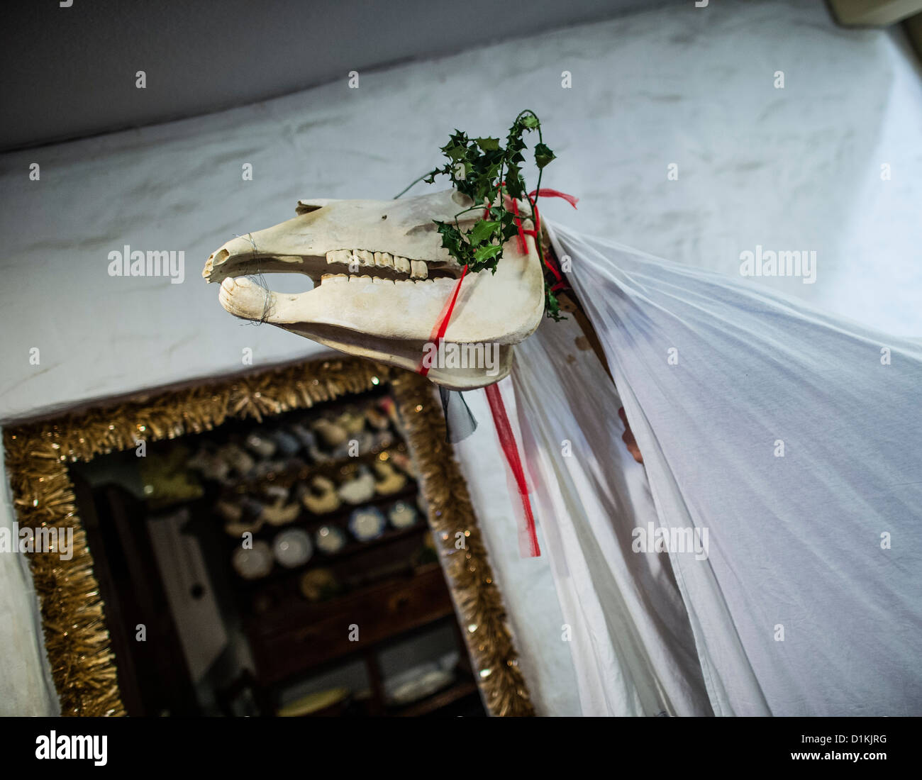 A traditional welsh 'Mari Lwyd' decorated horses skull being paraded at xmas or new year Stock Photo
