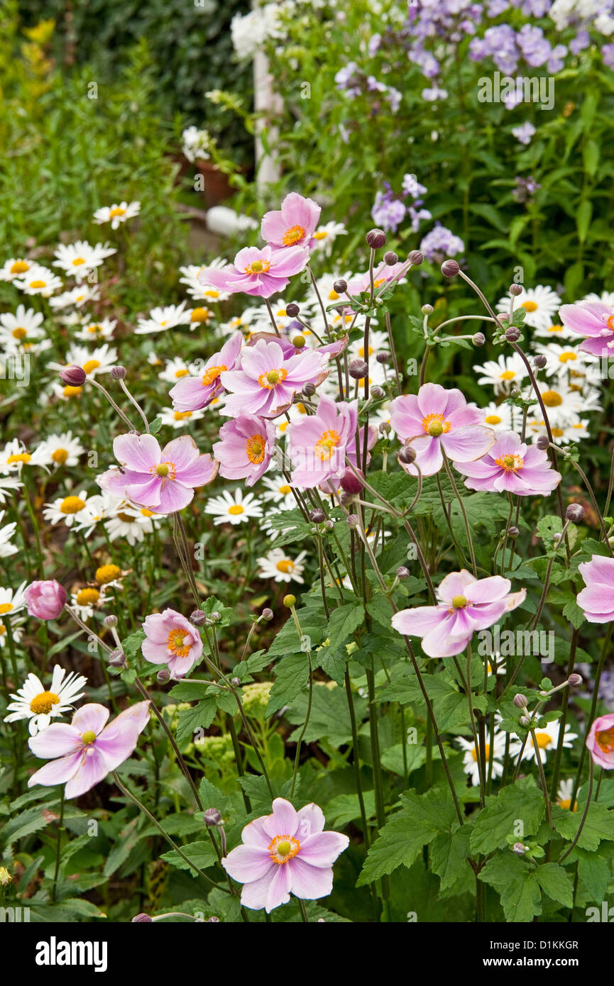 Cottage garden and flowers. Beamish Museum, County Durham, England, UK