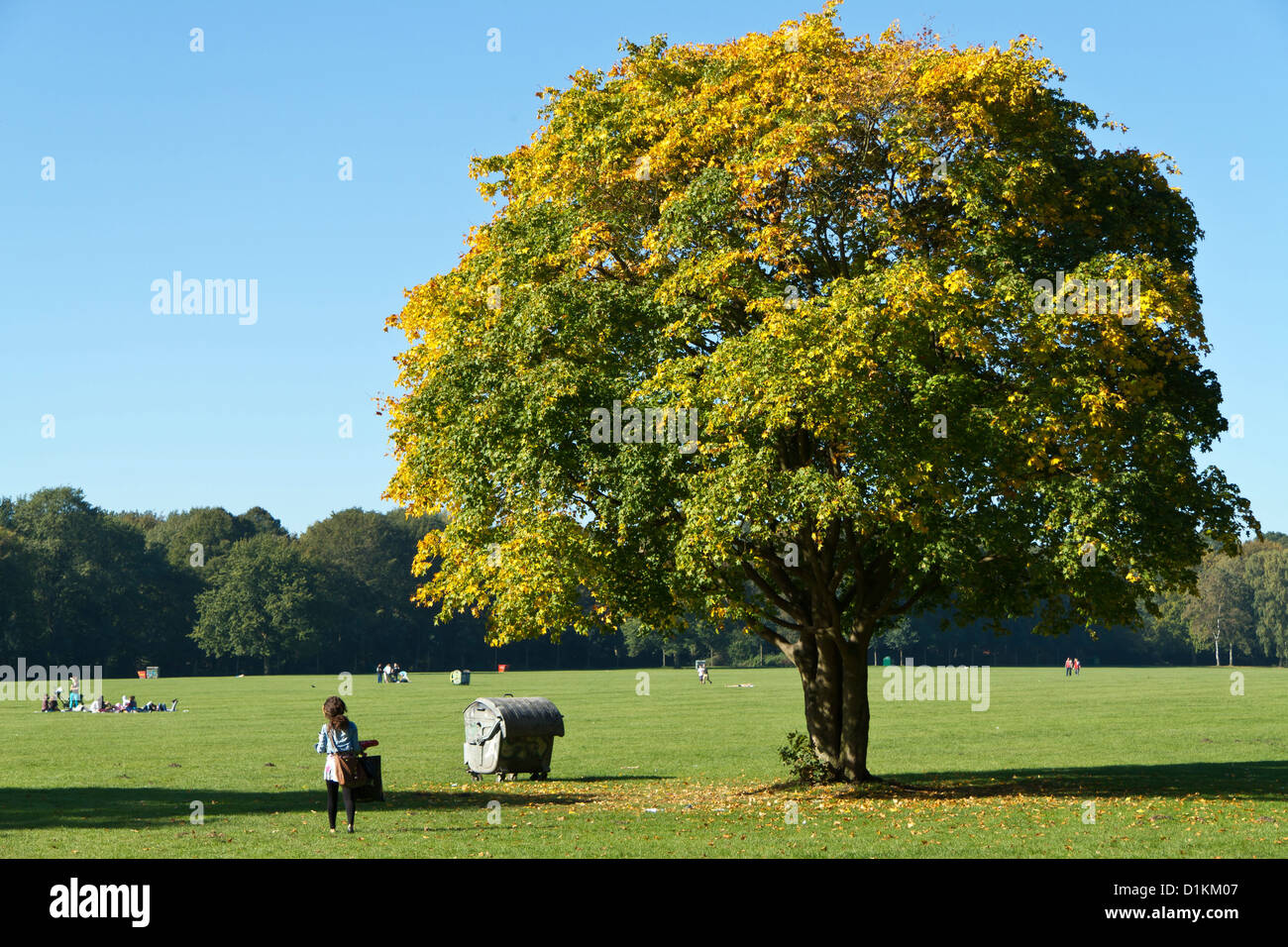 Landscape in the City Park ( Stadtpark) in Hamburg, Germany Stock Photo ...