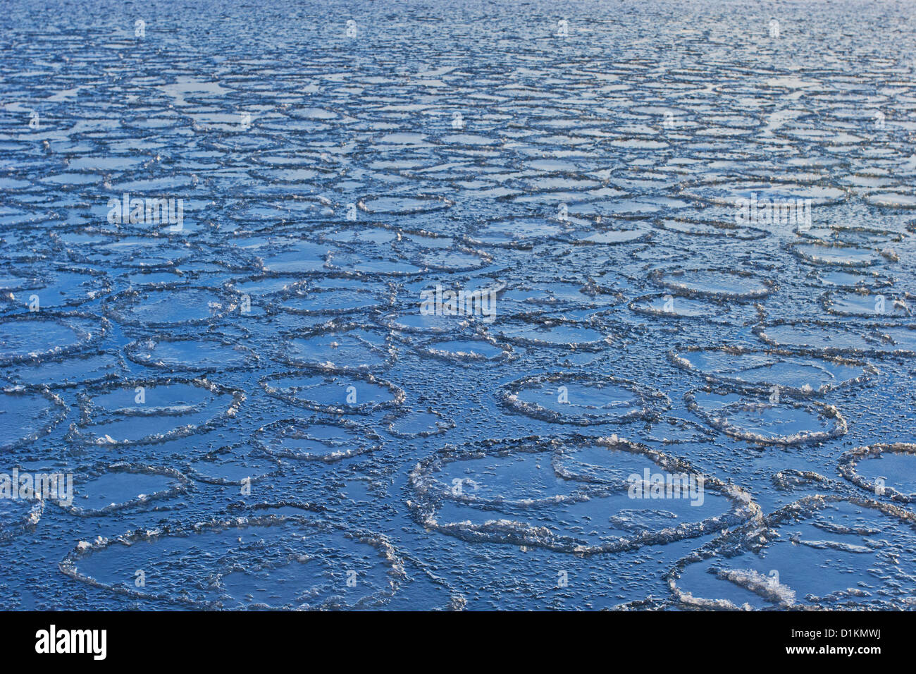 Ice circles on the sea Stock Photo