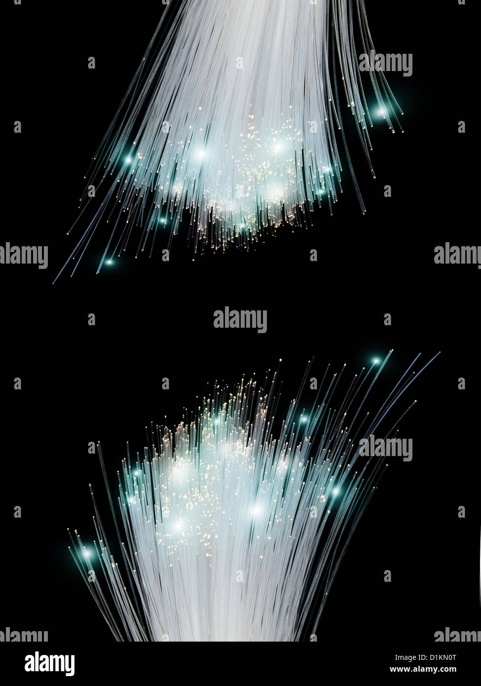 optical fiber cut on black background Stock Photo