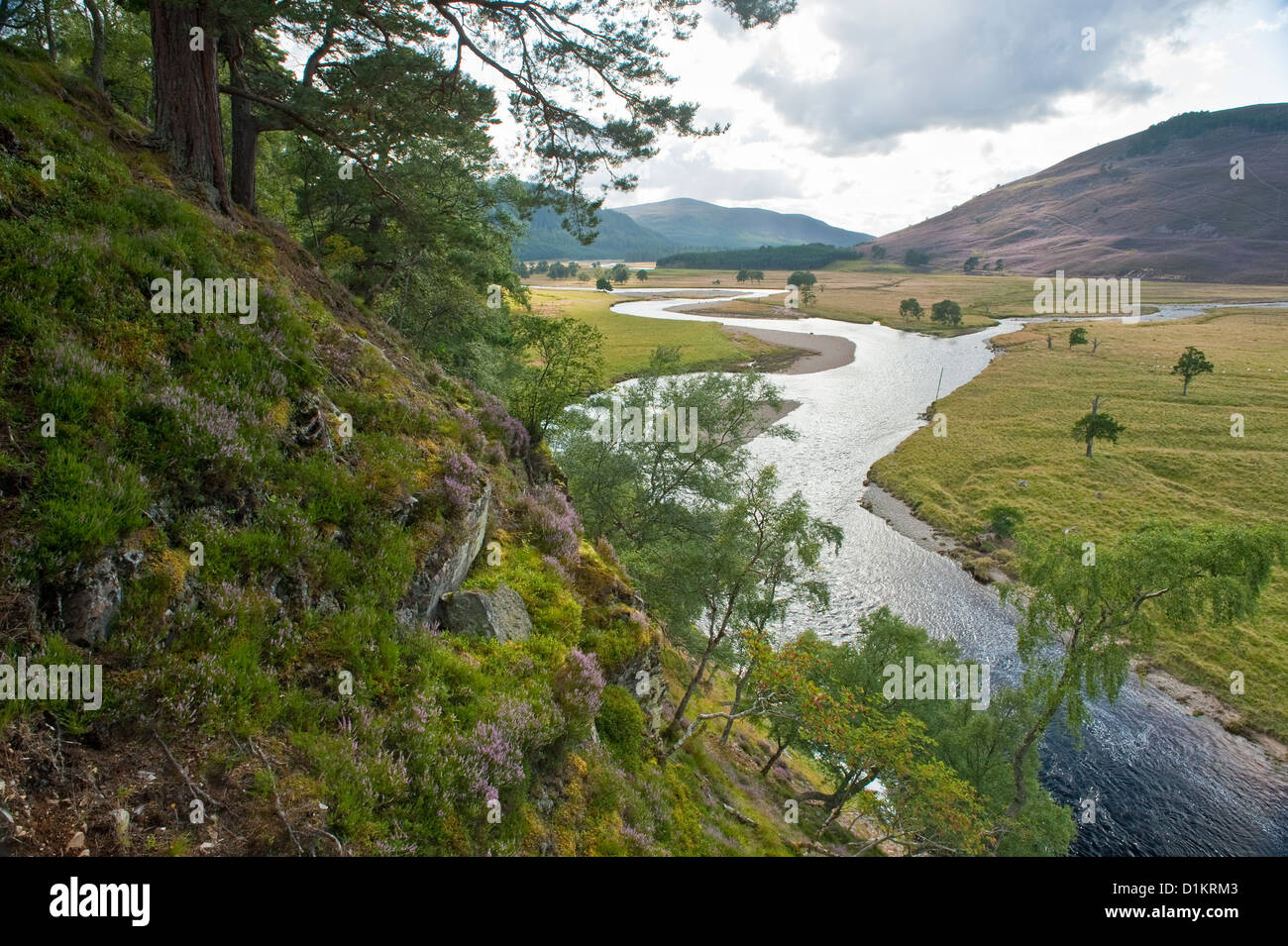 Summer view of glen and valley in the Upper Deeside area of Grampian Mountains, NE Scotland Stock Photo