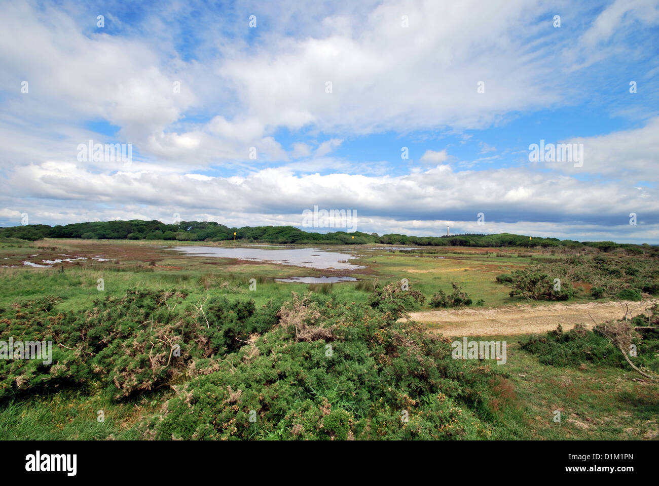 countryside under blue sky with white clouds Stock Photo - Alamy