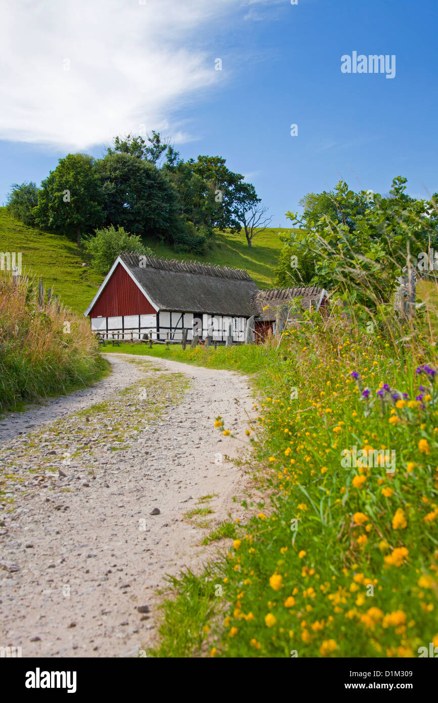 Traditional farmhouse with thatched roof at Brösarp backar / Broesarp Hills, Haväng, Skåne, Sweden Stock Photo