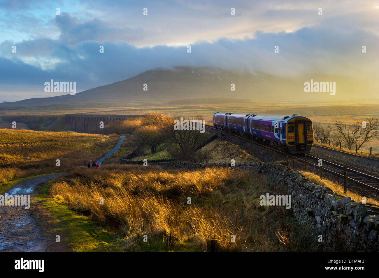 A Sprinter passenger train approaches Ribblehead Viaduct on the Settle to Carlisle Railway line, on a Winter afternoon, North Yorkshire UK. Stock Photo
