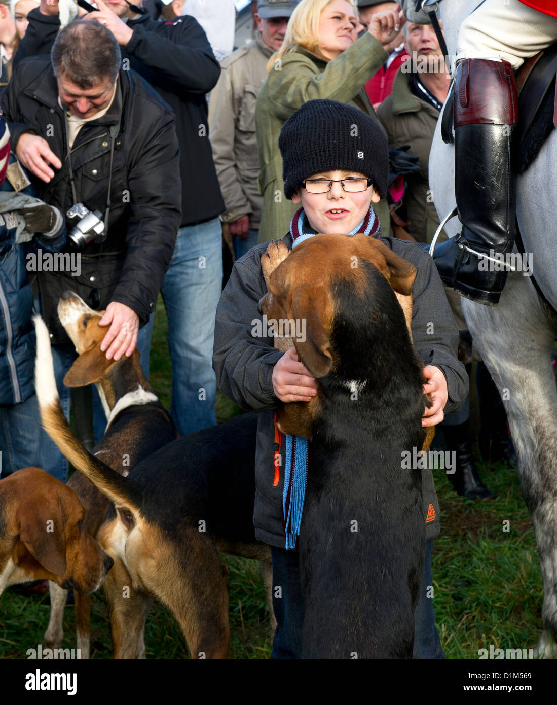 A child patting a foxhound at the Boxing meet of the Essex Hunt. Stock Photo