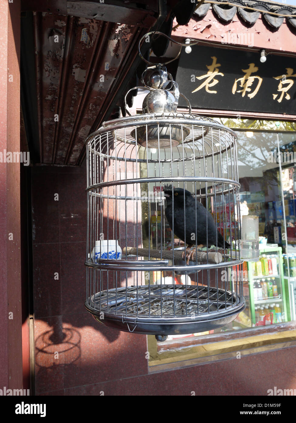 metal bird cage chinese pet retiree hobby Stock Photo - Alamy