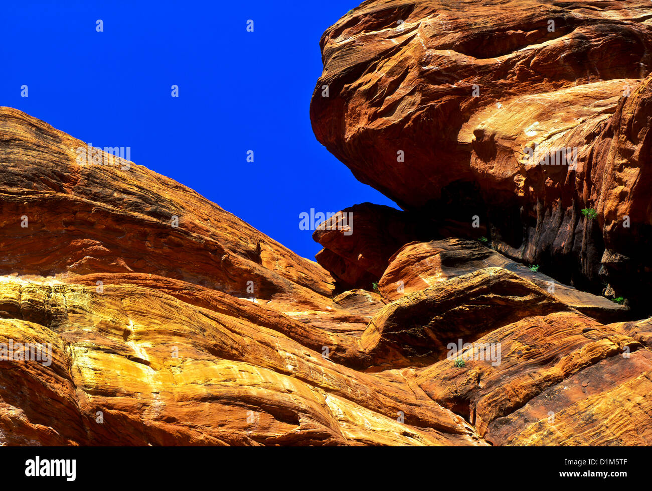 Red Rocks Secret Spot The Red Rock-Secret Mountain Wilderness is a 47,194-acre (191 km2 ...