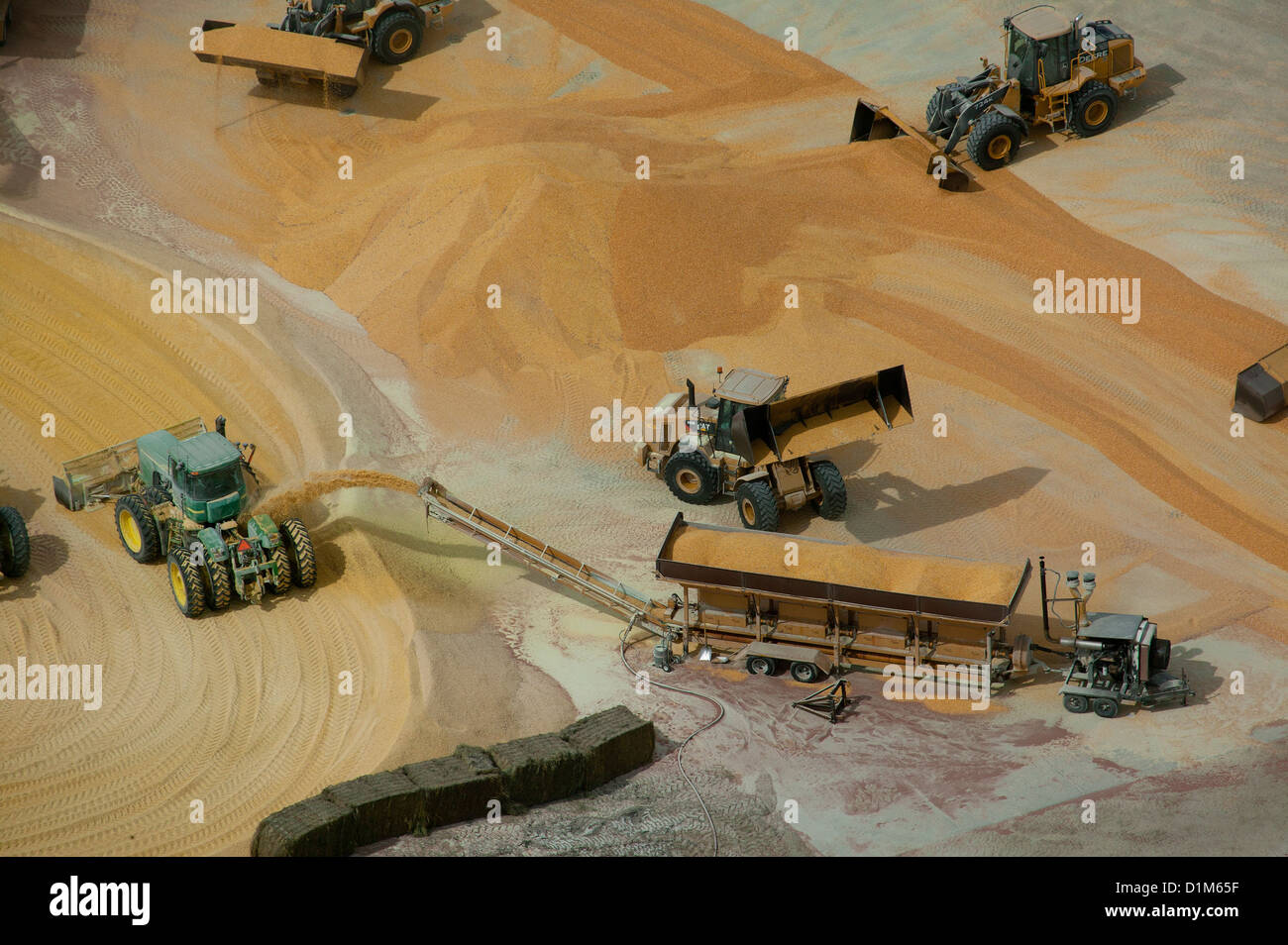 American beef farm feed lot hires stock photography and images Alamy