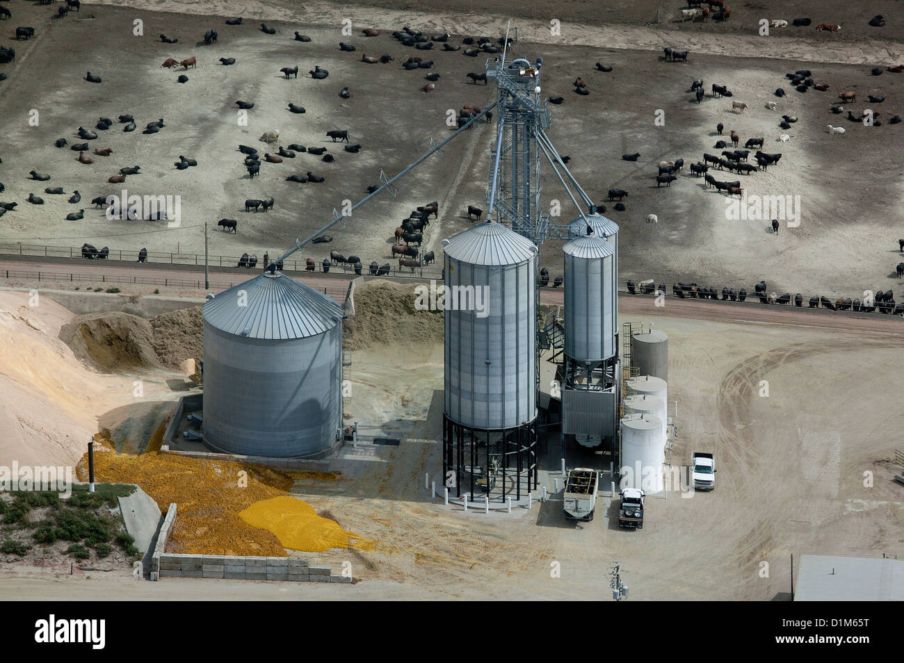 aerial photograph grain storage bins cattle feedlot Nebraska Stock Photo Alamy