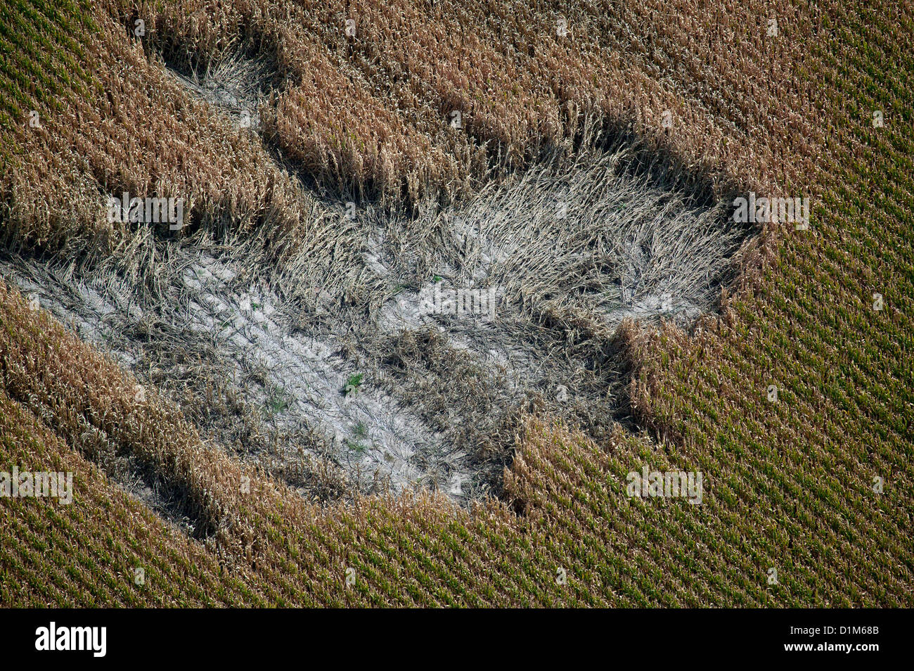 aerial photograph crop damage corn field Nebraska Stock Photo