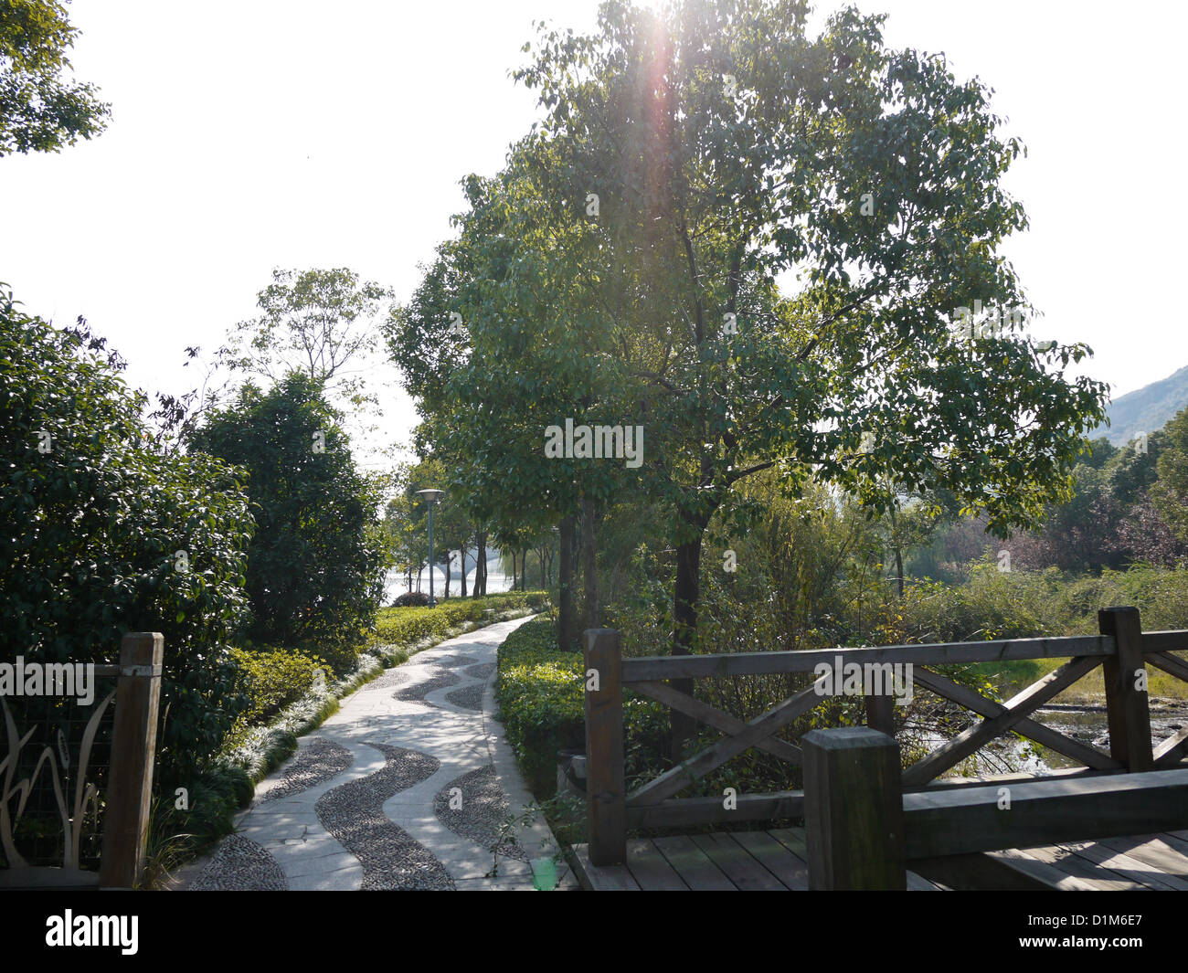 sun light flare trees park green garden china Stock Photo - Alamy