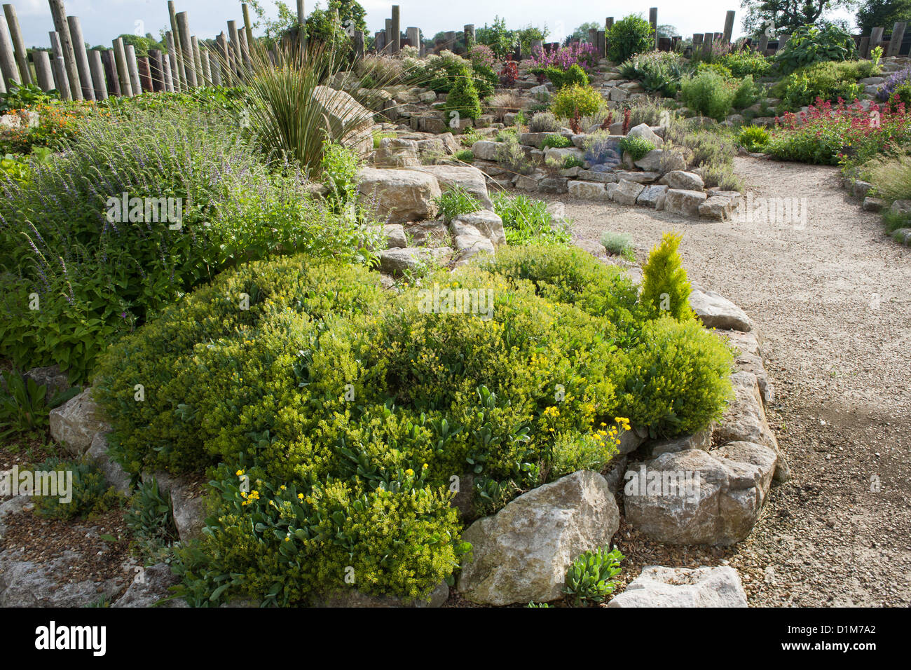 Rock garden. Stock Photo