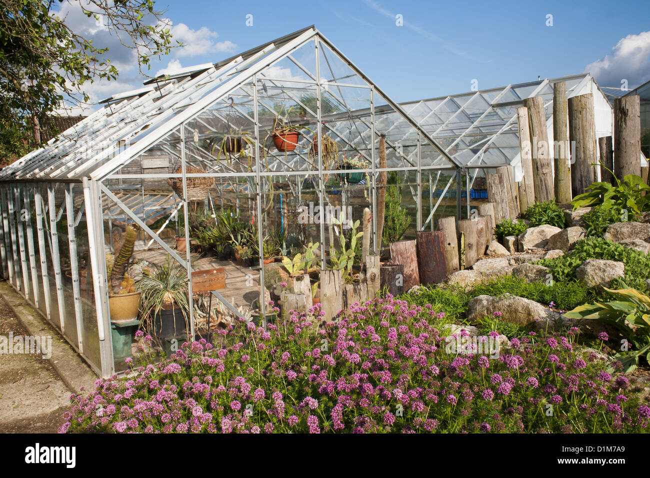 Glasshouse beds hires stock photography and images Alamy