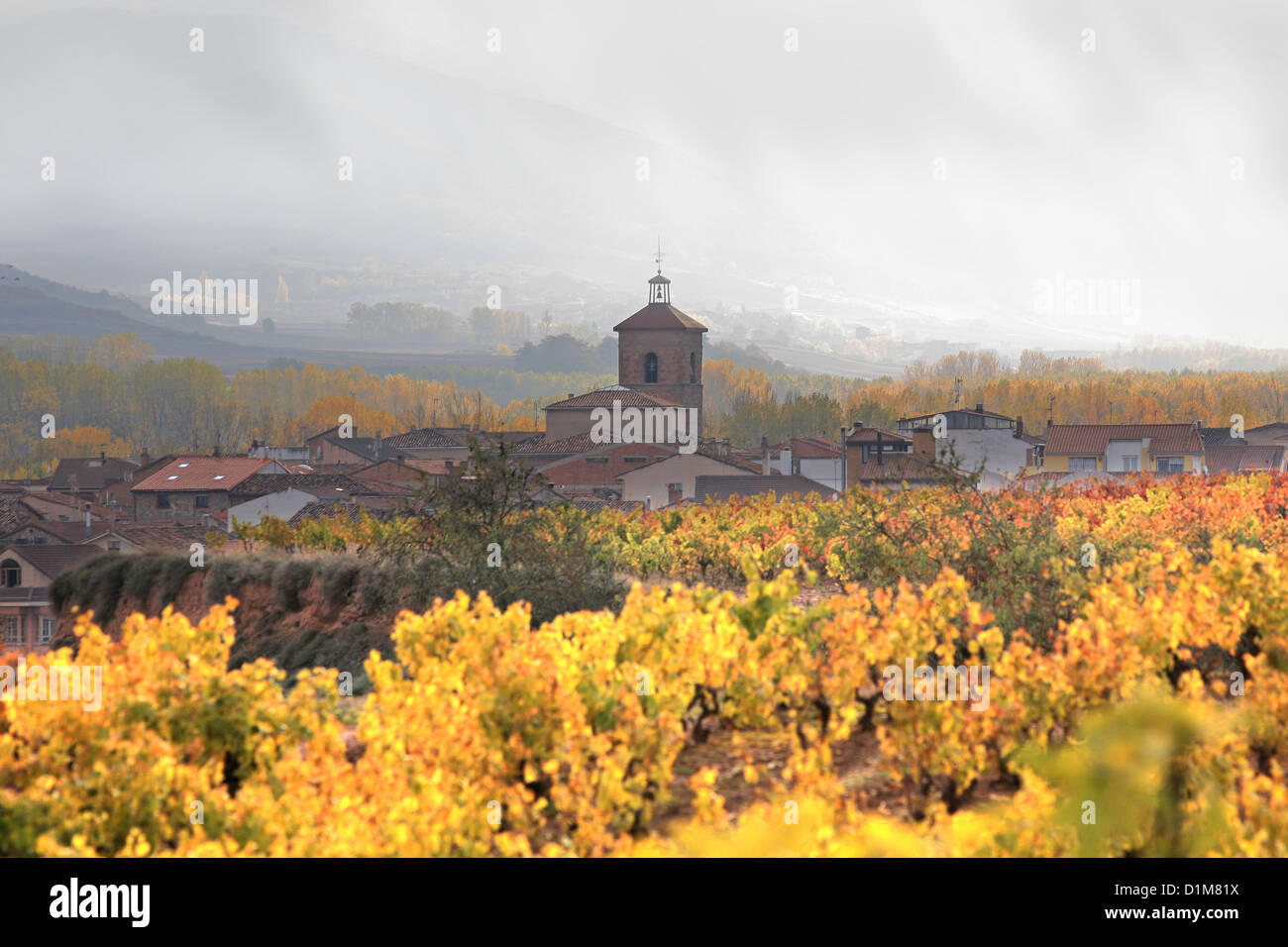 Badaran village an vineyards, Cardenas valley, Rioja wine region, Spain, Europe Stock Photo