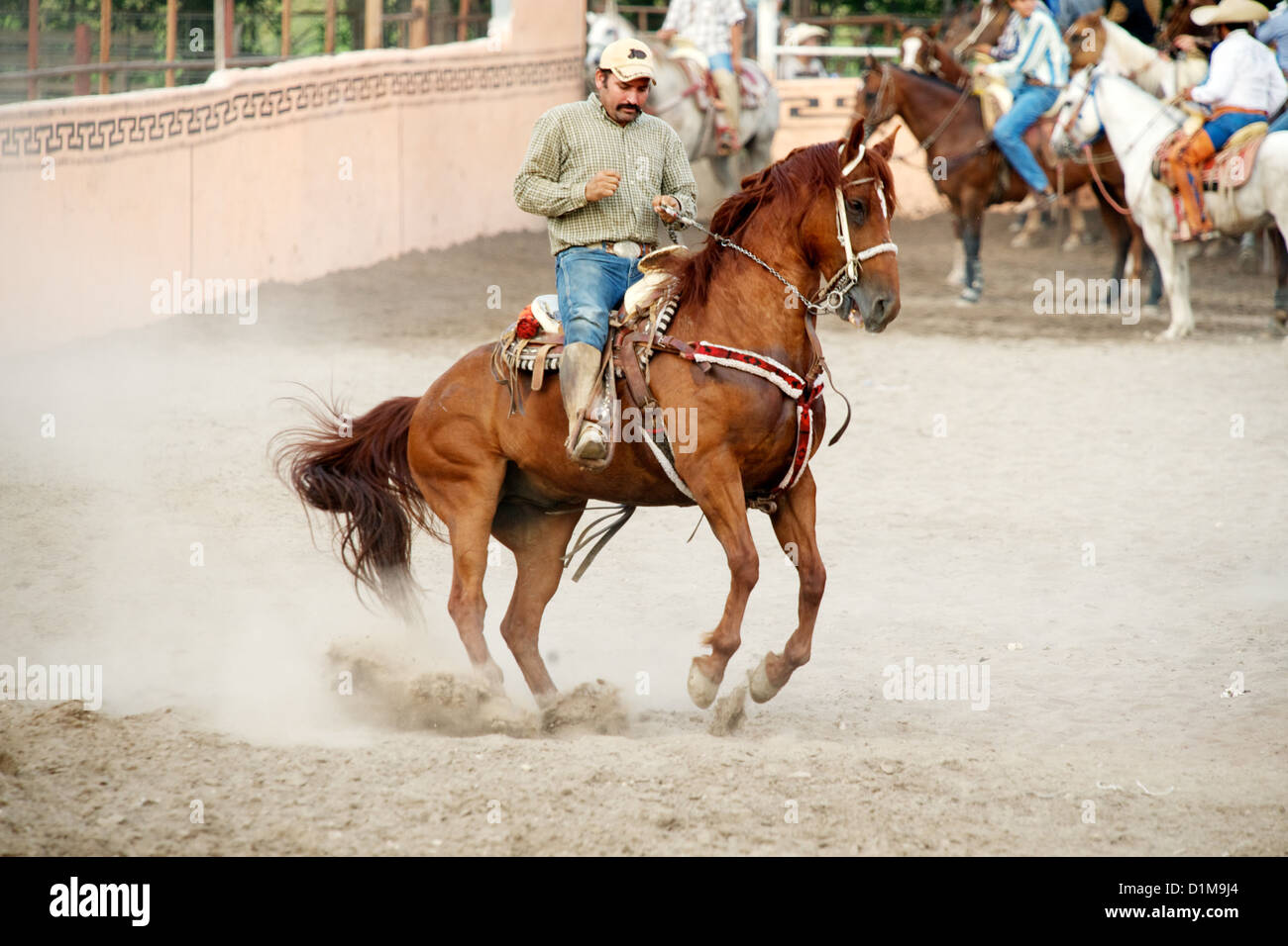 Mexican charros horseman on prancing horse, TX, US Stock Photo