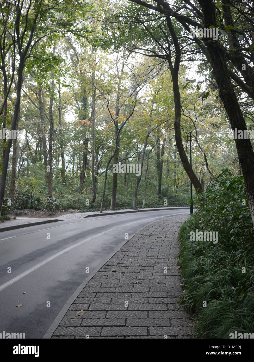 pavement nature China Stock Photo