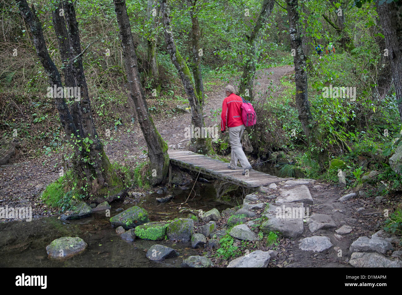 Pilgrim walking the Camino to Santiago crosses a bridge over a creek near Sarria Spain, along The Way of St. James journey Stock Photo