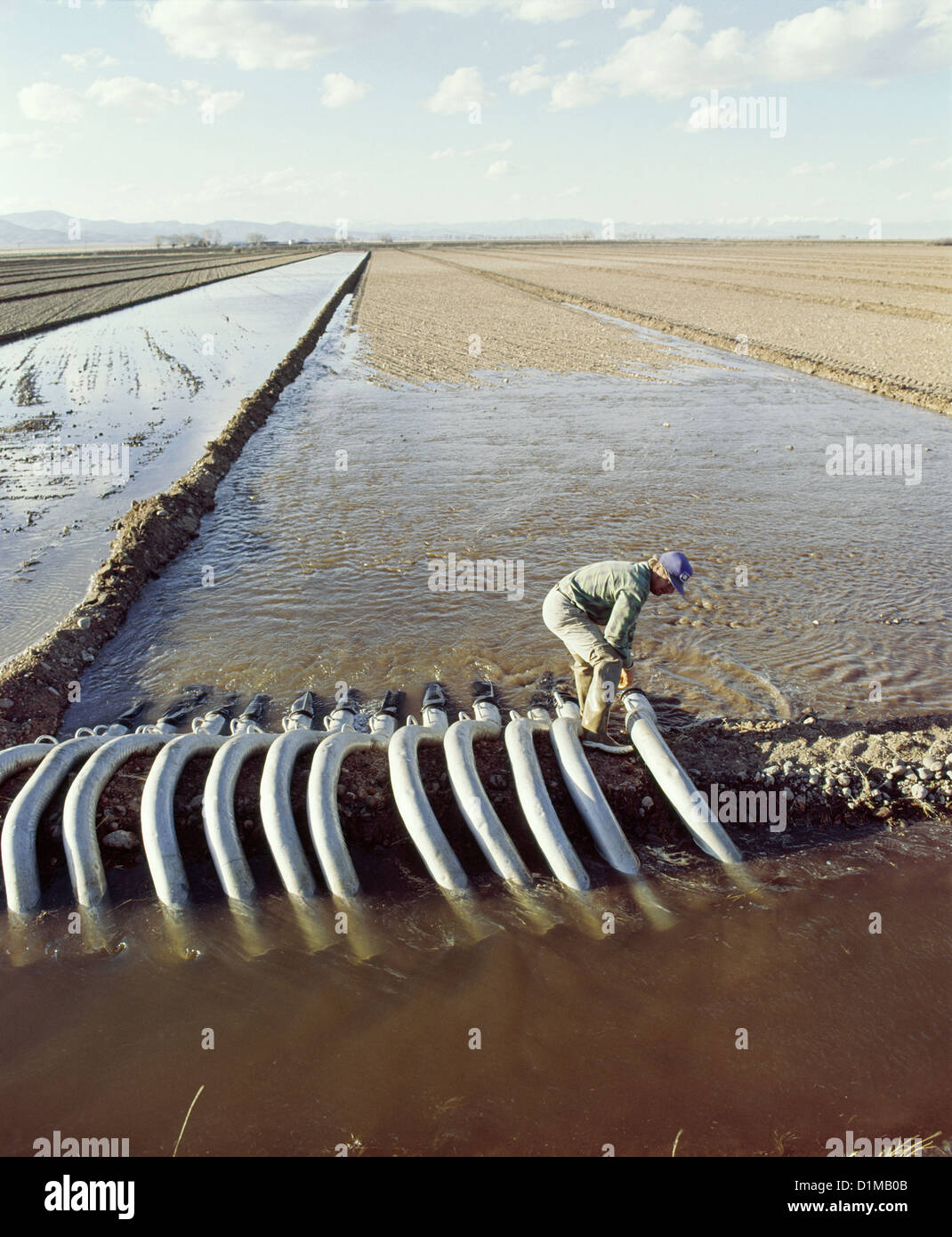 Flood irrigation hi-res stock photography and images - Alamy