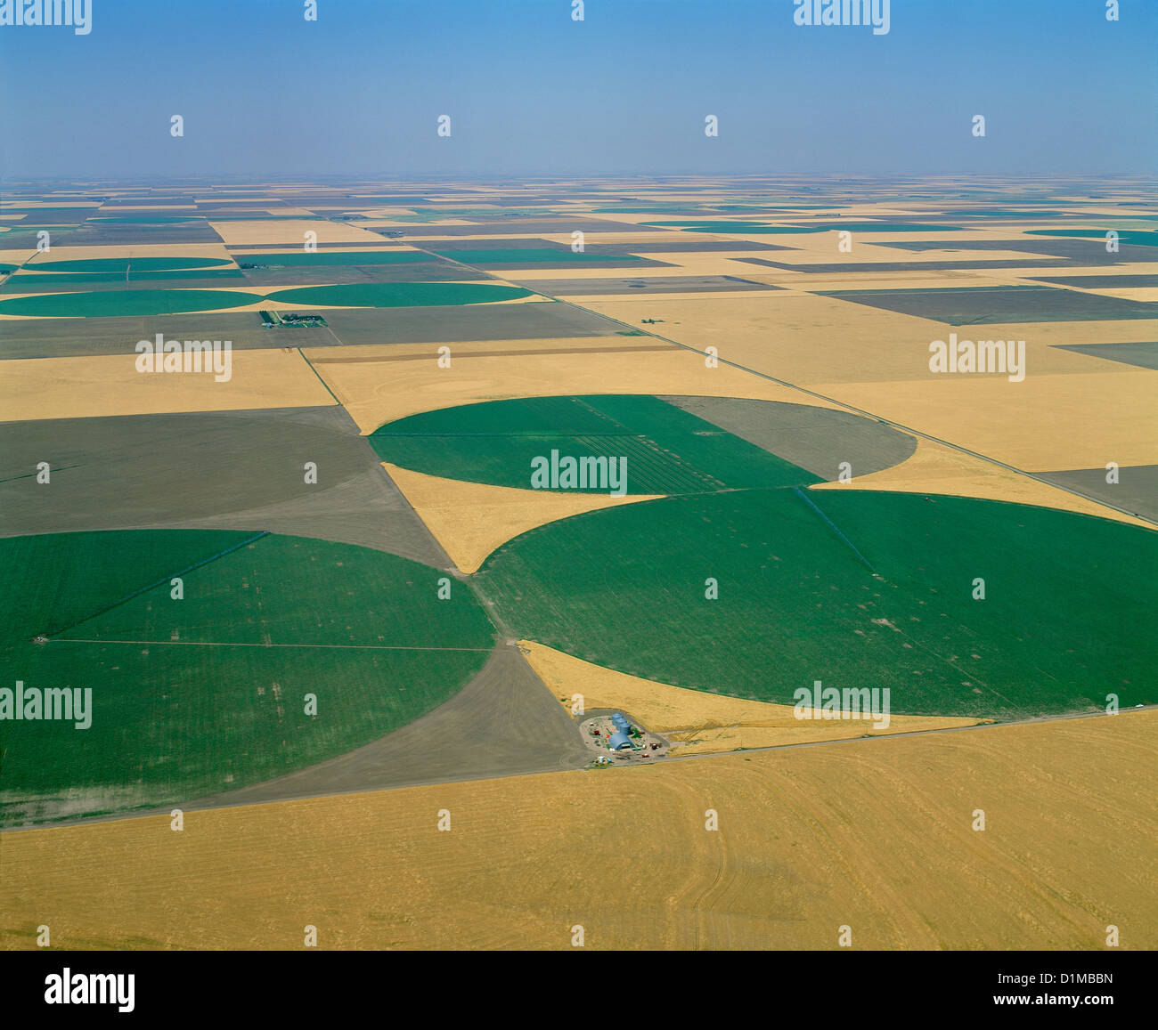 CENTER PIVOT IRRIGATION WITH CORN GROWING; YELLOW-BROWN AREAS ARE MATURE NON-IRRIGATED WHEAT / KANSAS Stock Photo