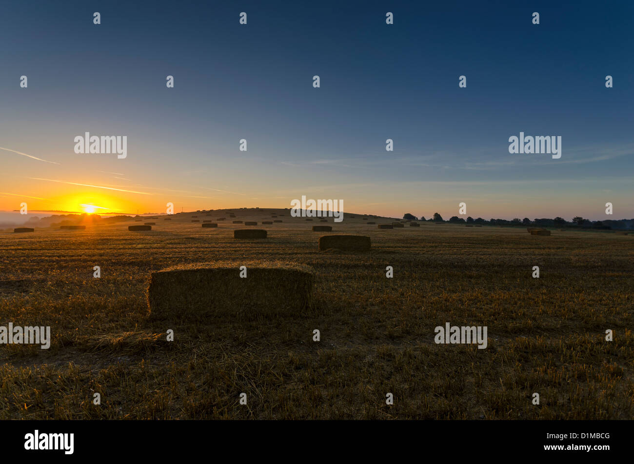 Sunrise over hay bales at harvest time Stock Photo